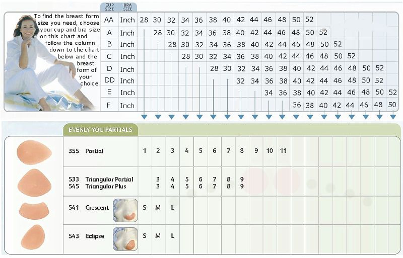 evenlyyouchart